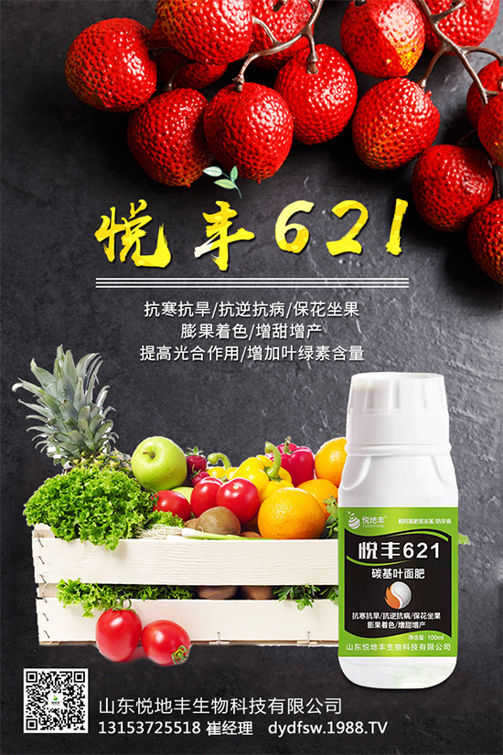 �t����֪��ԓ�����������