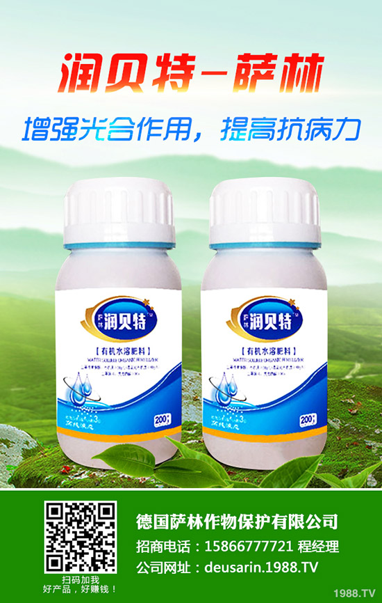 ��ۘ���ô�B(y��ng)����ۘ���B(y��ng)ֳ������ע�����(xi��ng)