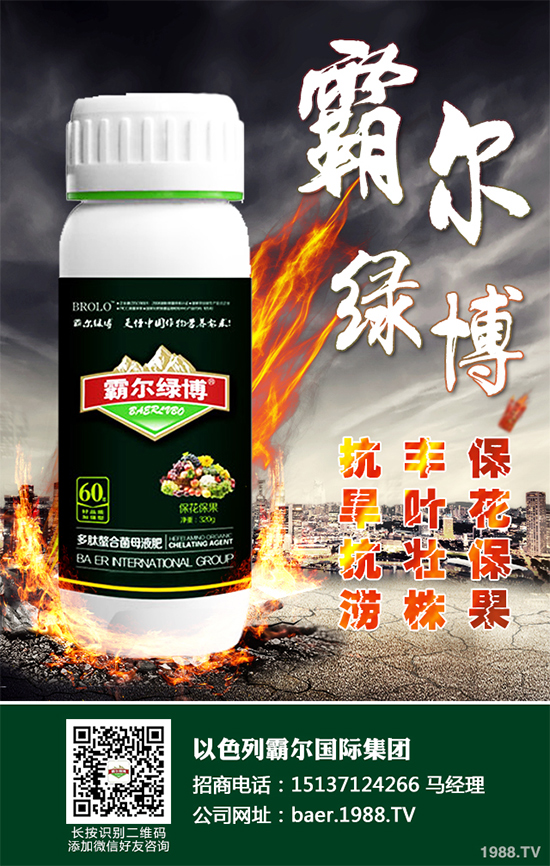 ������ʲô�r(sh��)�򲥷N��2020���������粥�����ă�(y��u)ȱ�c(di��n)����