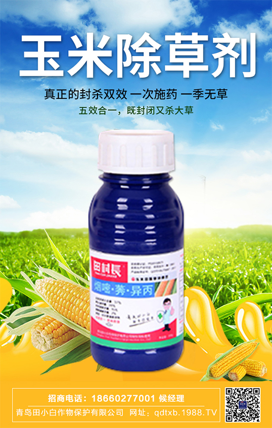 ���׷N�Ӱ�N��ʲô�������������ڹ���Ҫ�c(di��n)��