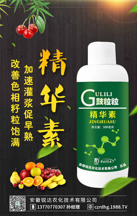     紅心火龍果和白心火龍果哪個(gè)好？區(qū)別有哪些？營(yíng)養(yǎng)誰更高？