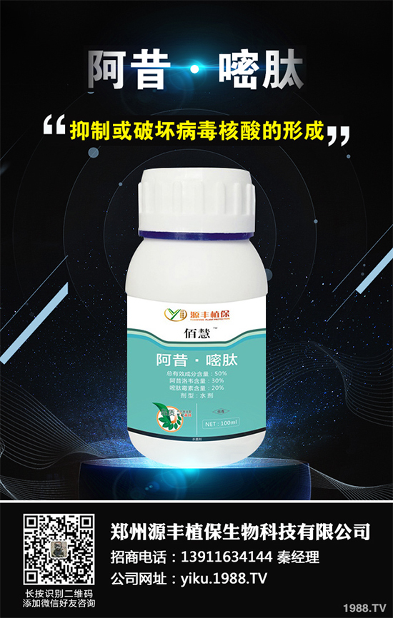 ��������X�rˎ�r��