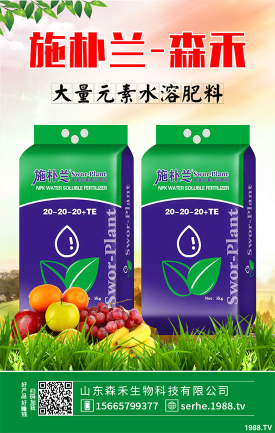 �R���r(ji��)�񲻔��������ܷ��^�m(x��)��(ji��n)ͦ��2020���R����Nֲǰ������