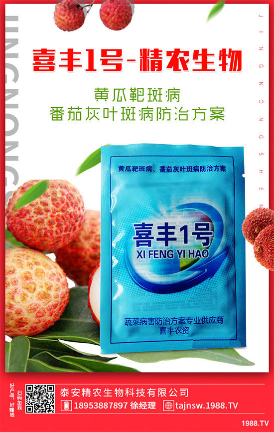 �V���X�ݷNֲ��Ҫ��Щ�l�����V���X��Ǥ������Ҫ�c(di��n)��