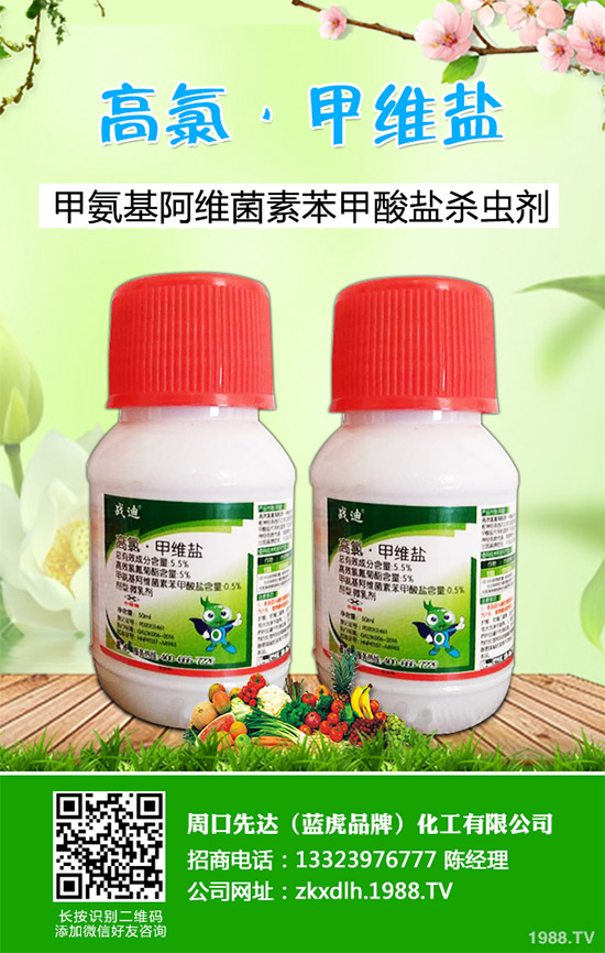 �ʽ�������