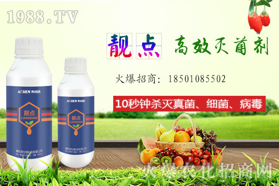 ����Ƭ��ʲô�������ԙ�����ʲô��̎��