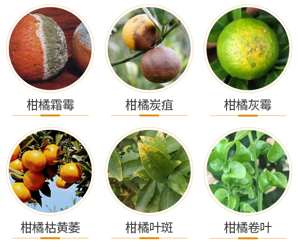 ��������-(li��n)��μ�_05