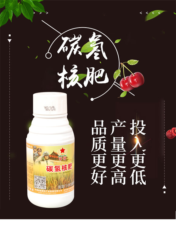 ̼?x��)�˷?�����T-̼?x��)���H_01