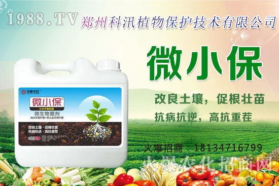 ����Ĺ�Ч�c�����������c�����Ă����РI�B(y��ng)��