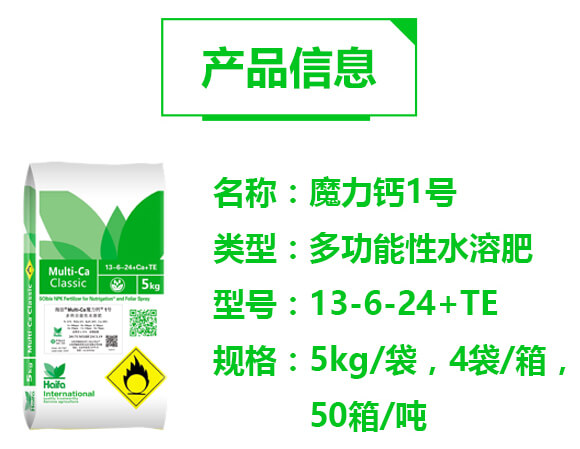 �๦����ˮ�ܷ�13-6-24+TE-ħ���}1̖(h��o)-�������Q(m��o)_02