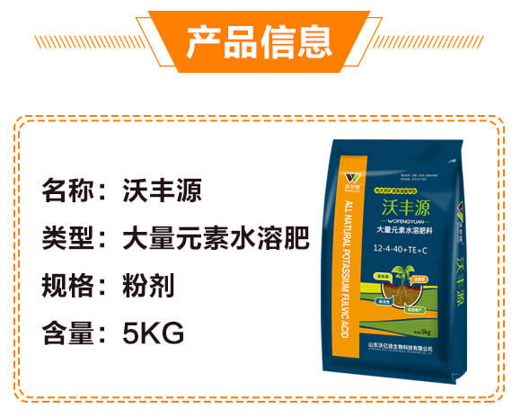 ����Ԫ��ˮ�ܷ���19-19-19+TE+C-�֠���(y��u)_02