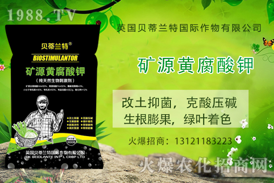 ���ܹ���ô�N�����ܹϷNֲ��(y��ng)ԓע����Щ���(xi��ng)��