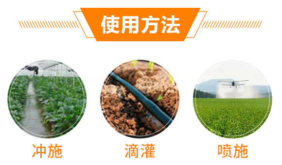 ����Ԫ��ˮ�ܷ���12-4-40+TE+C-�֠���(y��u)_04