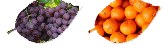 ̼?x��)�˷?�t���T-̼?x��)���H_04