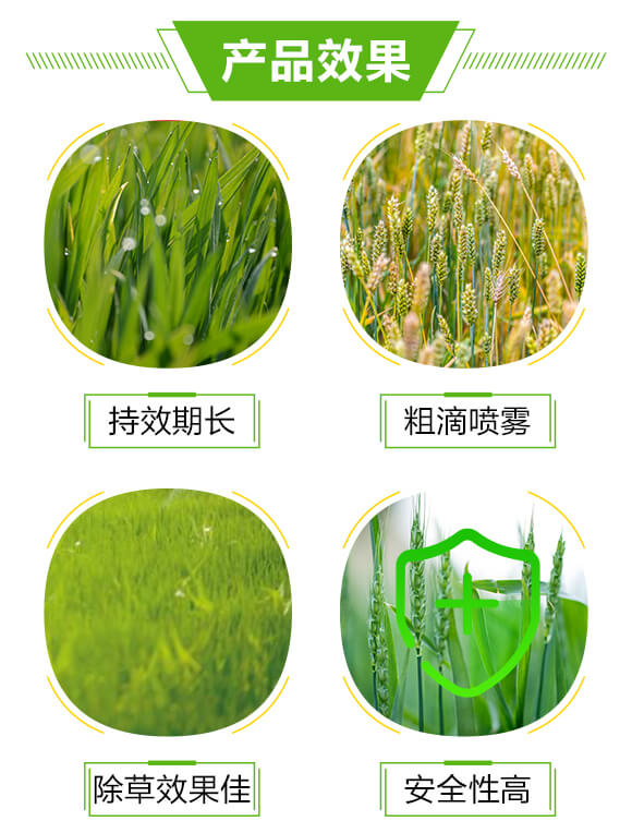 ���԰޲݌�(zhu��n)��-�޵�-�����з�_03