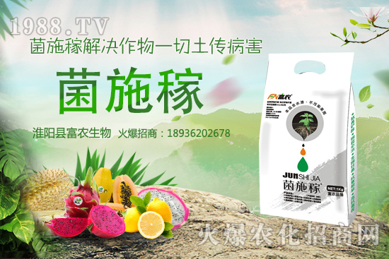 2020���r(n��ng)��NҰ��ٍ�X�����x����ЩҰ��Ʒ�NЧ��ߣ����h�ղ���