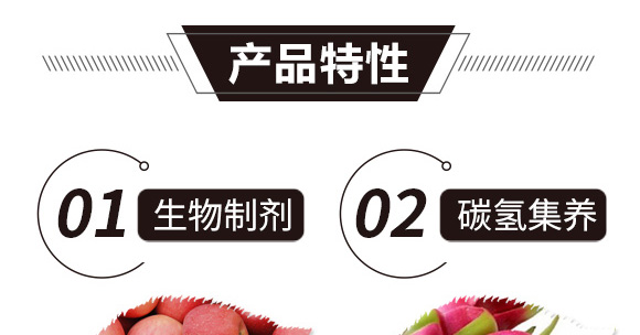 ̼?x��)�˷?�t���T-̼?x��)���H_02