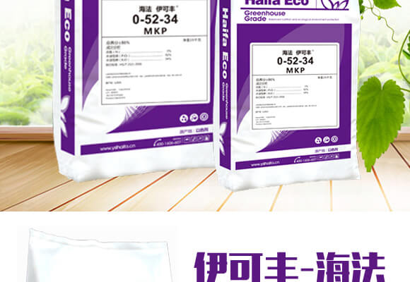 MPK0-52-34-����_02