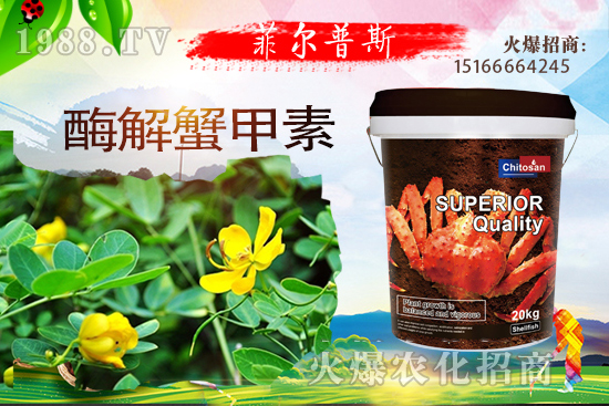 ������ô�Nֲ�������Nֲ���g(sh��)Ҫ�c(di��n)��