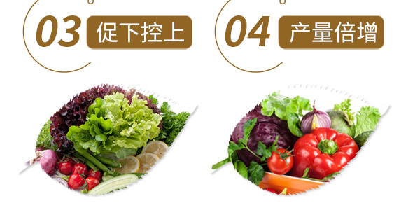 ��ˎ�����߮�(d��ng)�w����-����ֲ��ˮ�ܷ�-�����r(n��ng)��_07