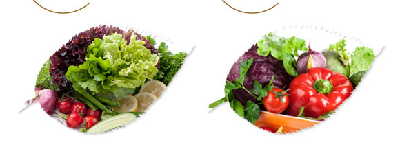 ��ˎ�ĠI(y��ng)�B(y��ng)���a(b��)-����ֲ��ˮ�ܷ�-�����r(n��ng)��_07