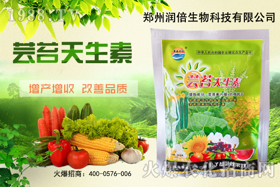 �S�B������ô�������S�B���ڲ��x��������