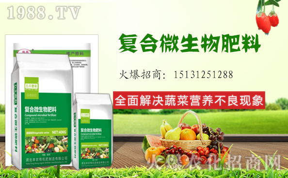 ���؃r(ji��)��