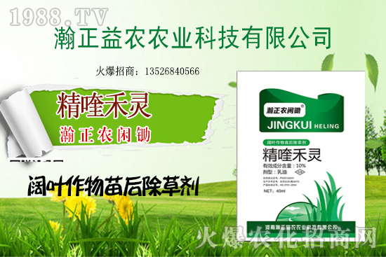 ΢�����r(n��ng)ˎ����������(zh��n)���C(j��)�����³ɹ�