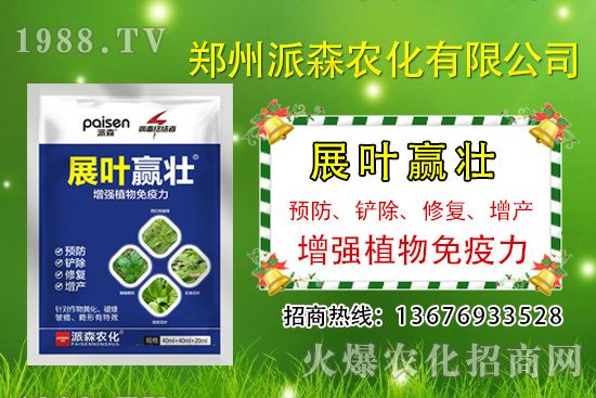 �²�ʲô�r(sh��)�򲥷N���²��Ј�(ch��ng)ǰ����������Nֲ�ɱ�������(r��n)������