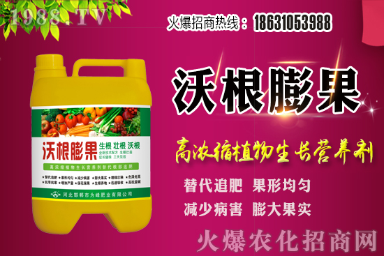 ���؃r(ji��)��