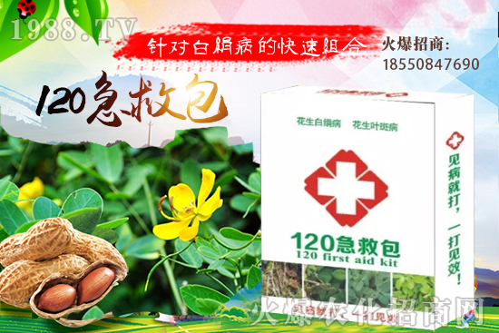 �S�ϼ޽���ʲô��̎����������S�ϼ޽�����