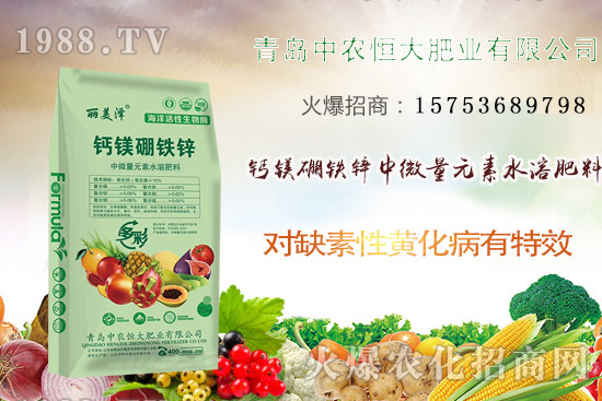 韭菜什么時候播種？韭菜市場前景如何？（附種植成本及利潤分析）