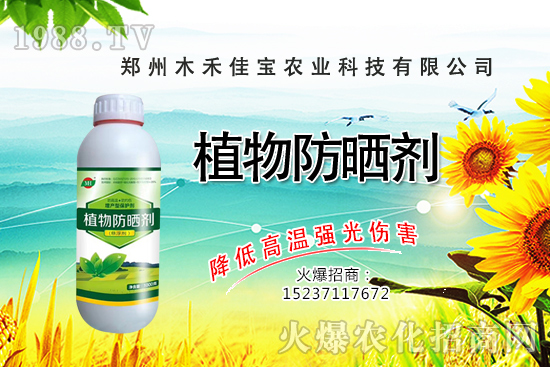 ѿ��˷Nֲǰ����ô����ѿ��˷Nֲ���g(sh��)����Щ��