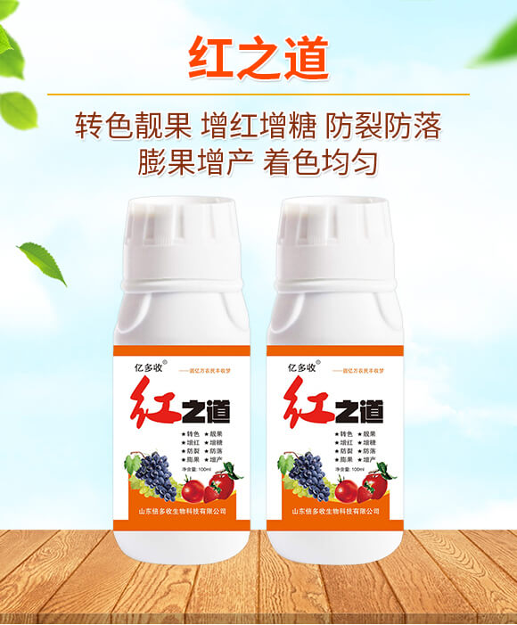 �t֮��-�|����-������_01