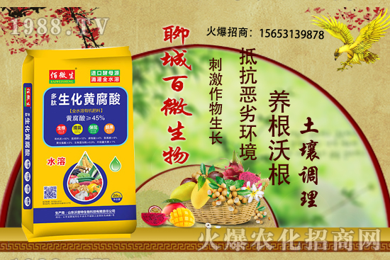 ������ʲô�r(sh��)��׷�ʣ���ʲô����������׷����ʲôע�����(xi��ng)��