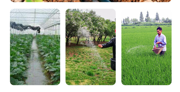 �r(n��ng)��ڈ@���＼�g(sh��)���޹�˾_19