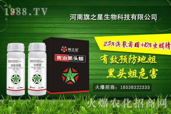 ʲô�Ǿ����������l(f��)��Ҏ(gu��)���������o(w��)�������η�����