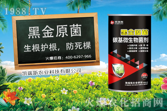     ����ʲô�r����죬���׵��ի@�r�������׵ĠI�B(y��ng)�rֵ��