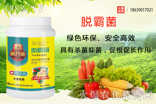 �����Nֲ�xʲôƷ�N�������Nֲǰ��������Ʒ�N���]��