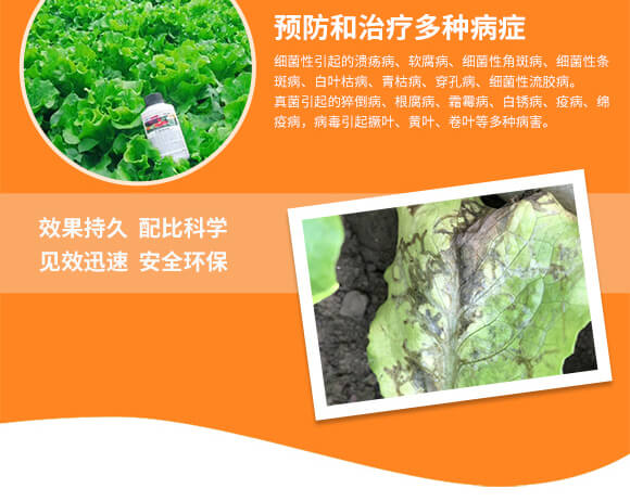 �r��ڈ@���＼�g���޹�˾1_05