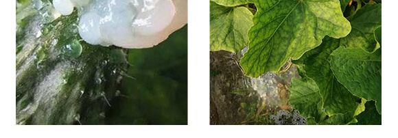 �r��ڈ@���＼�g���޹�˾1_10