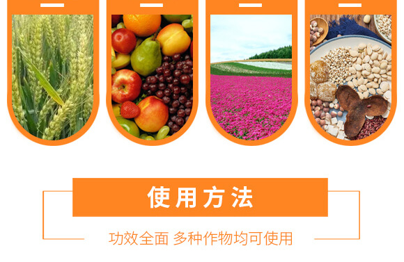 �r��ڈ@���＼�g���޹�˾1_13