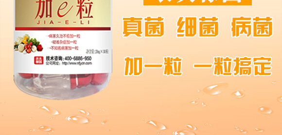 �r��ڈ@���＼�g���޹�˾1_02