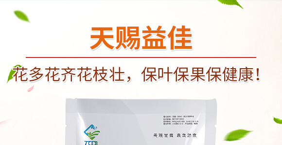 ���S�x��-���n����_01