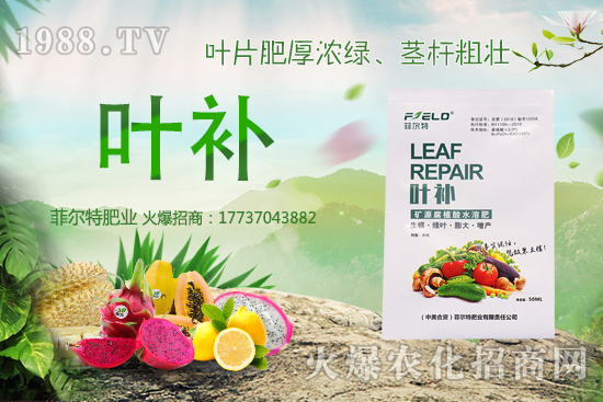 �o�����Nֲǰ����ô�����o�����Nֲ�r(sh��)�g�ͷ�����