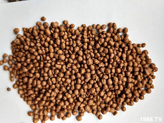 ��Ȼ�V���|(zh��)����-�����ЙC(j��)��-�����r(n��ng)�I(y��)