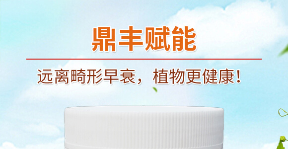 ���S�x��-���n����_01