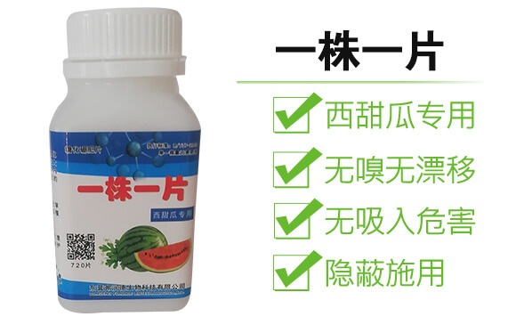 ����ό���-һ��һƬ_04