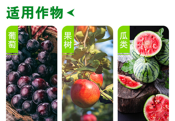 ���u��������Ƽ����޹�˾�a(ch��n)ƷԔ���(y��)3_04