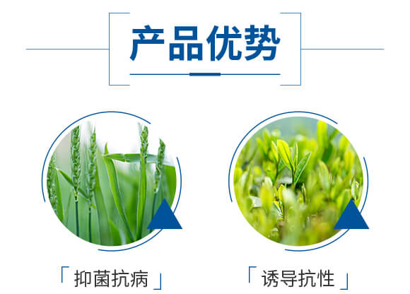 ΢�������-�����m��-����_05